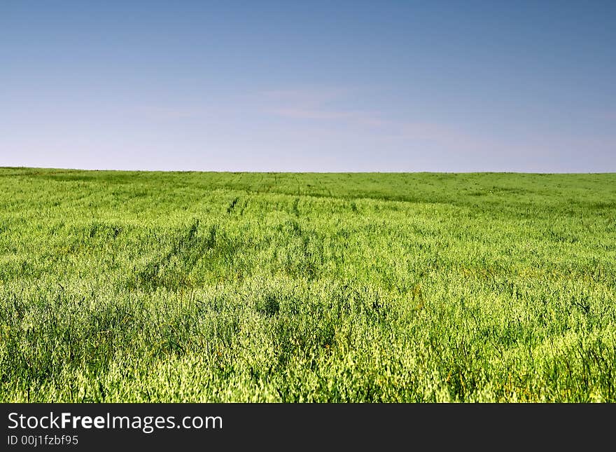 Summer Landscape.