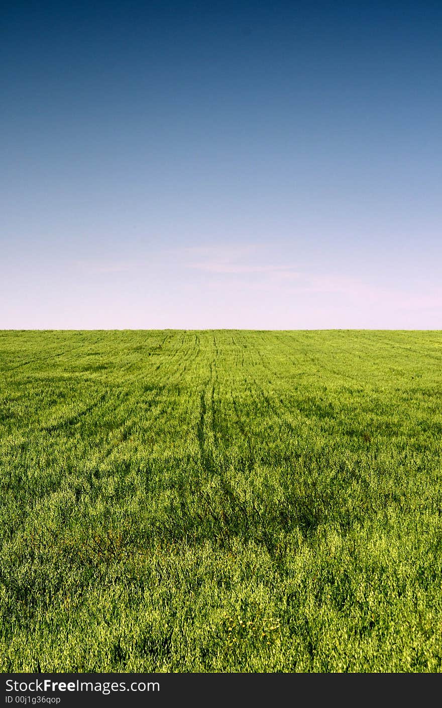 Summer landscape. This high resolution image was taken by 10 mp Canon camera with professional lens.