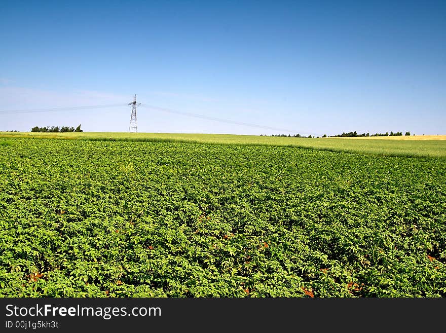 Summer landscape. This high resolution image was taken by 10 mp Canon camera with professional lens.