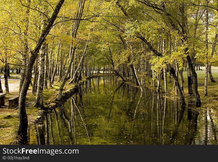 Nice place with river and trees. Nice place with river and trees.