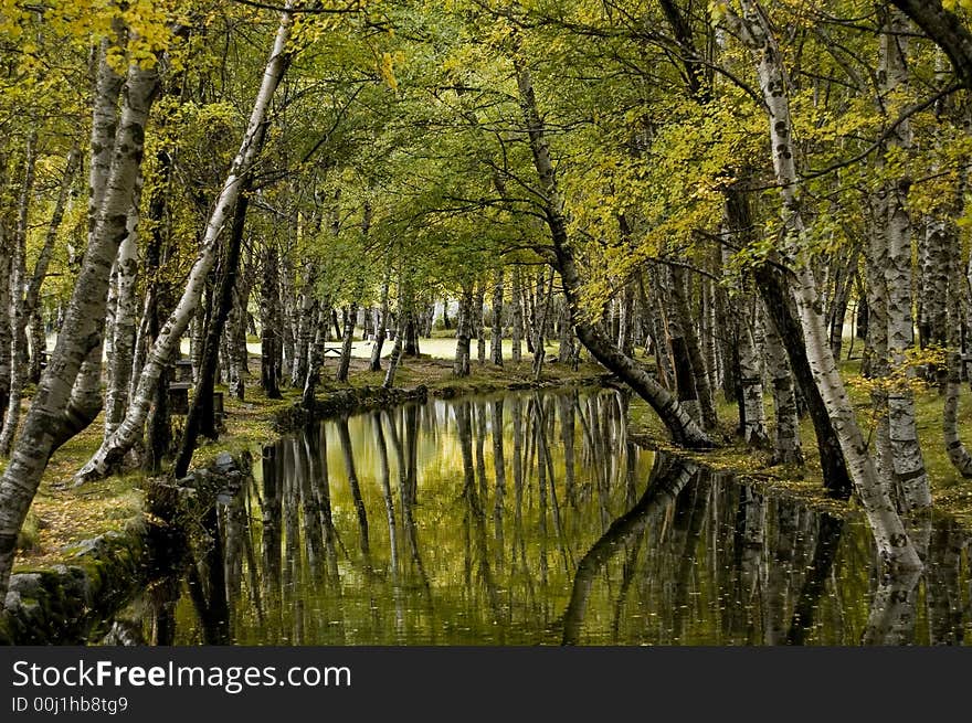 Nice place with river and trees. Nice place with river and trees.