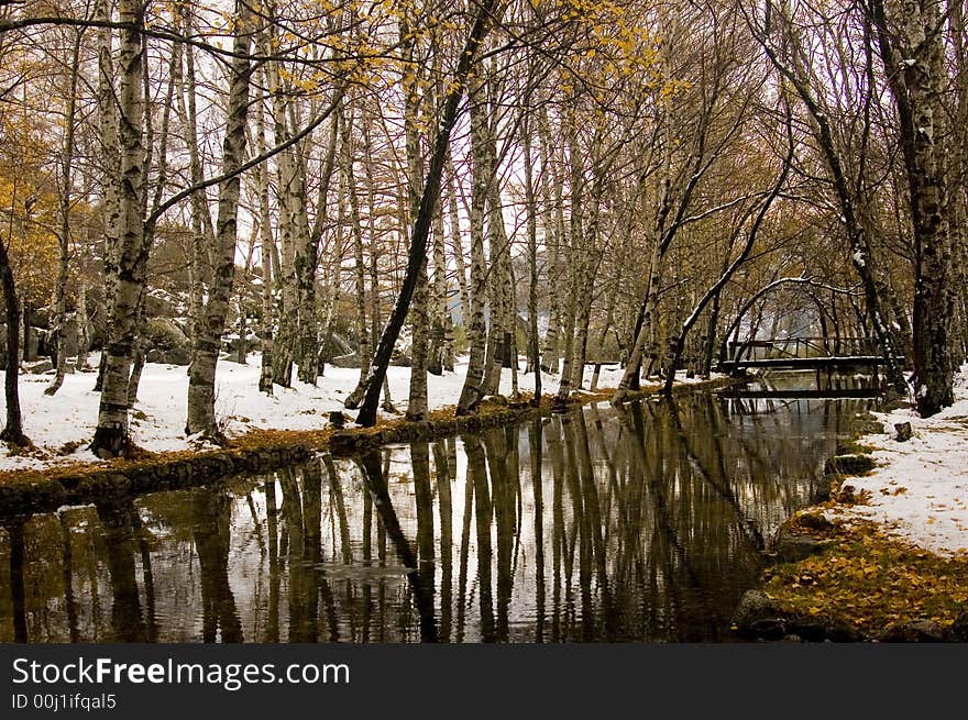 Nice place with river and trees. Nice place with river and trees.