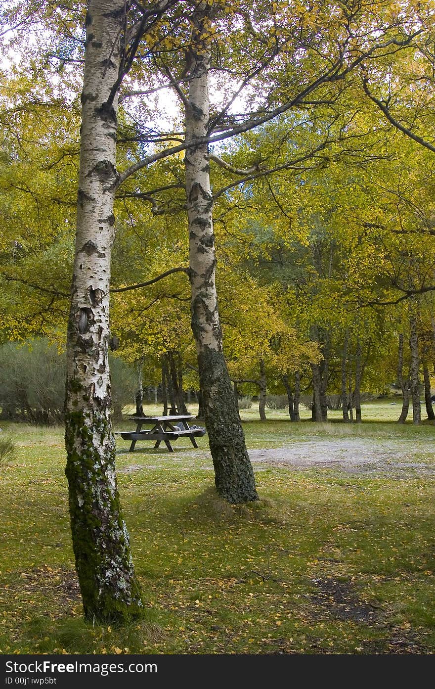 Nice place with green trees. Nice place with green trees.