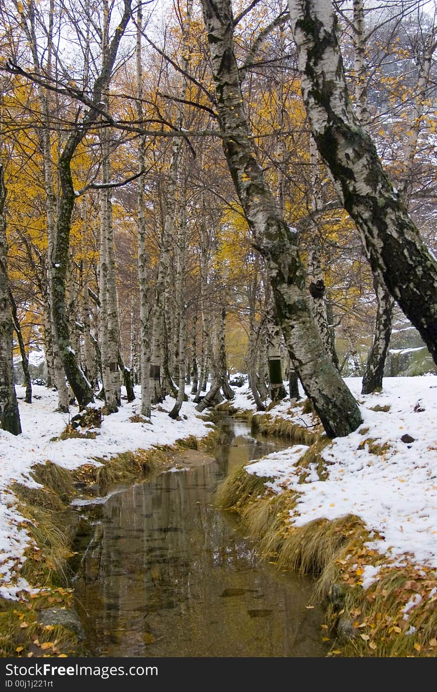 Nice place with river and trees. Nice place with river and trees.