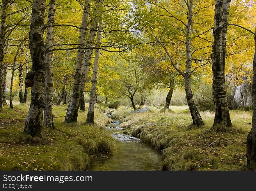 Nice place with green trees and a river. Nice place with green trees and a river.