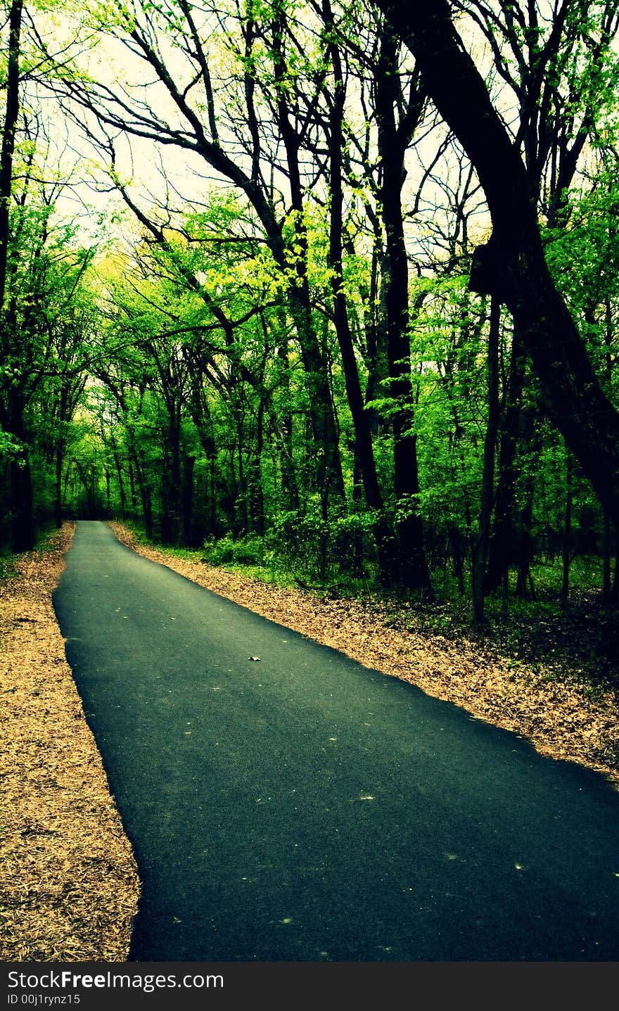 Straight park alley receding into the distance framed by trees, cross processed