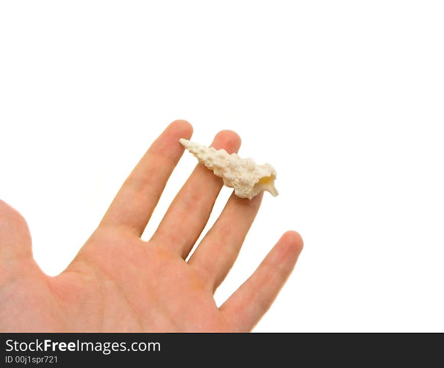 An isolated photo of a hand carrying a unique shell