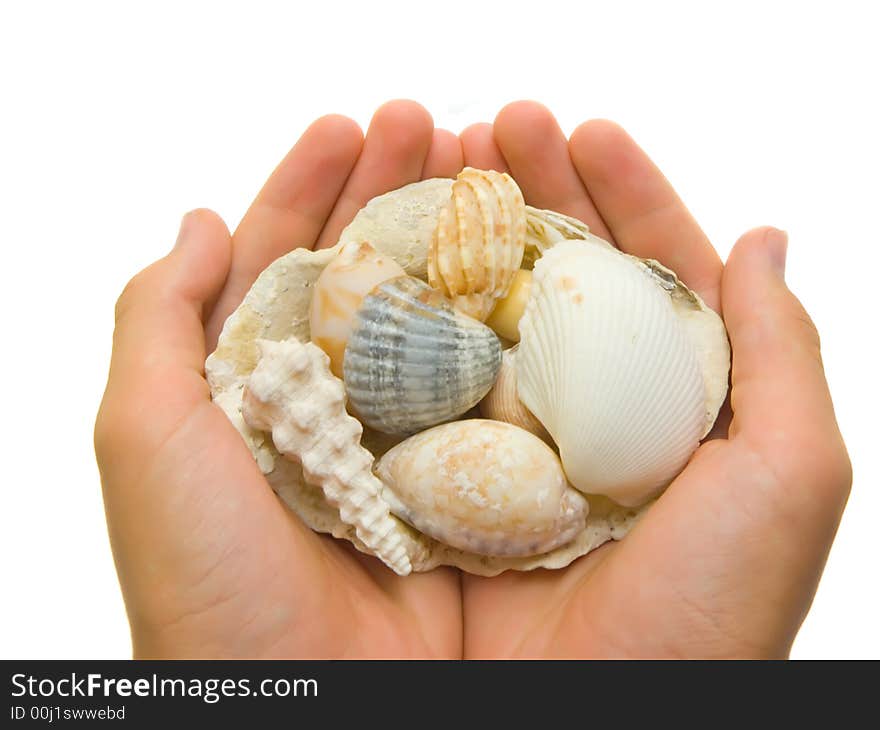 Unique shells