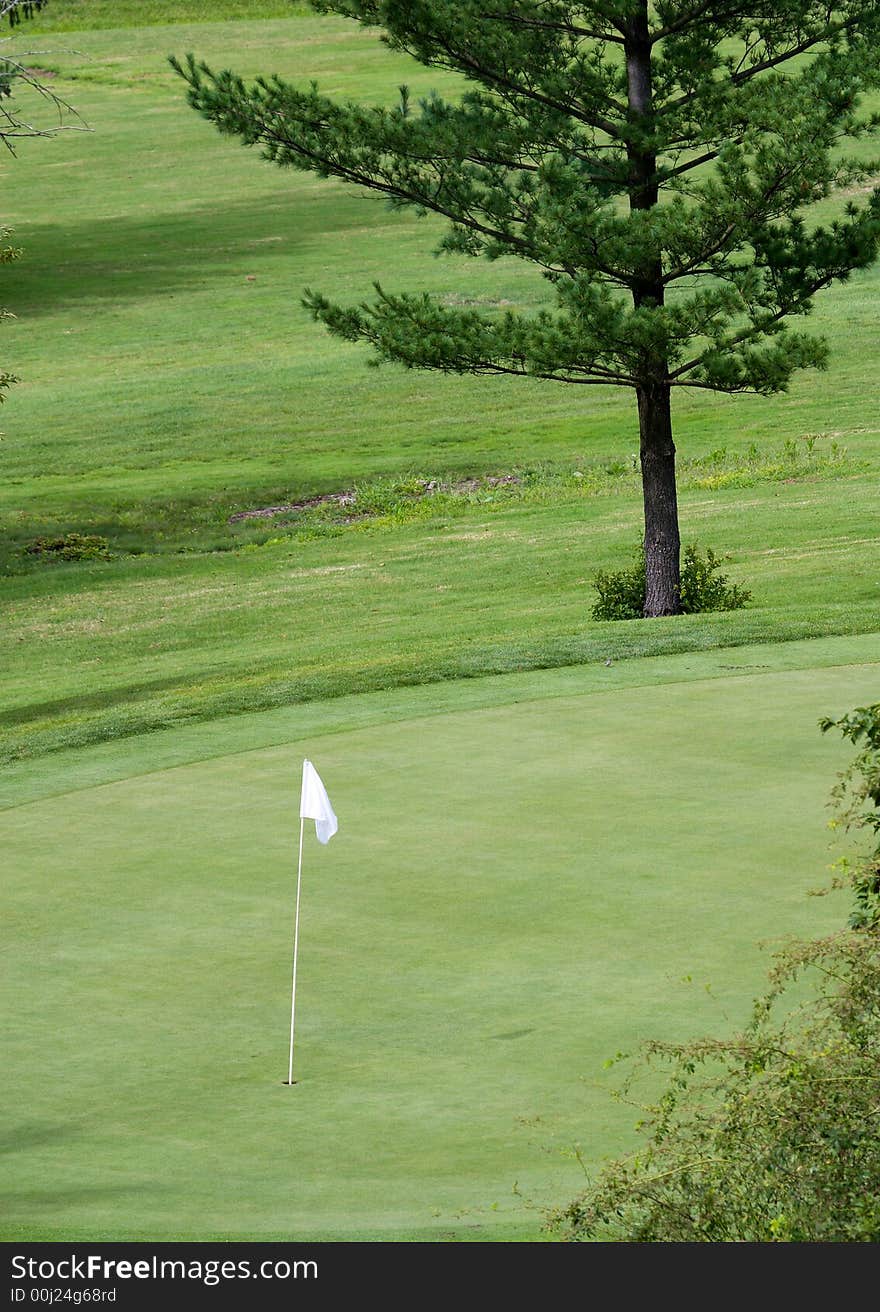 Flag in a hole of a putting green