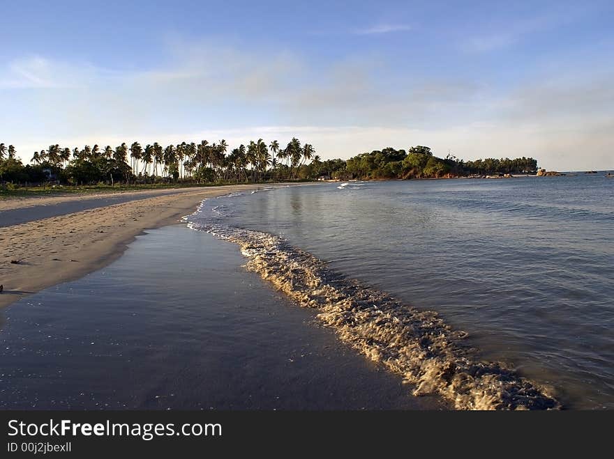 Palm trees on the beach Aguram Bay in Sri Lanka. Palm trees on the beach Aguram Bay in Sri Lanka