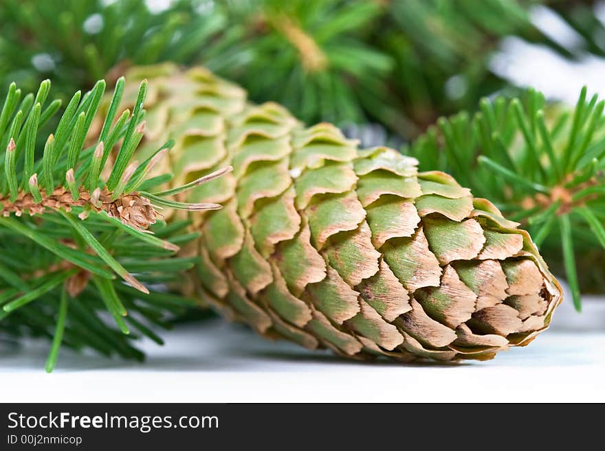 Christmas souvenir-fur-tree branch with cones on white background