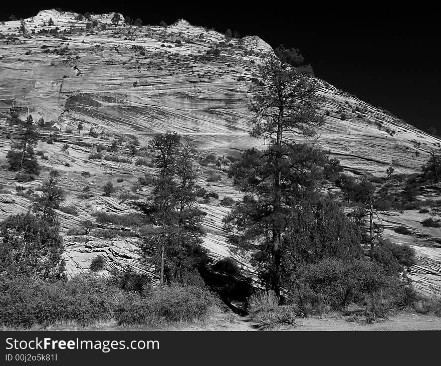 The Zion National Park in Utah USA, in black and white