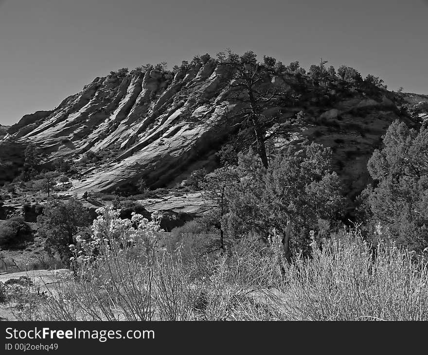 The Zion National Park