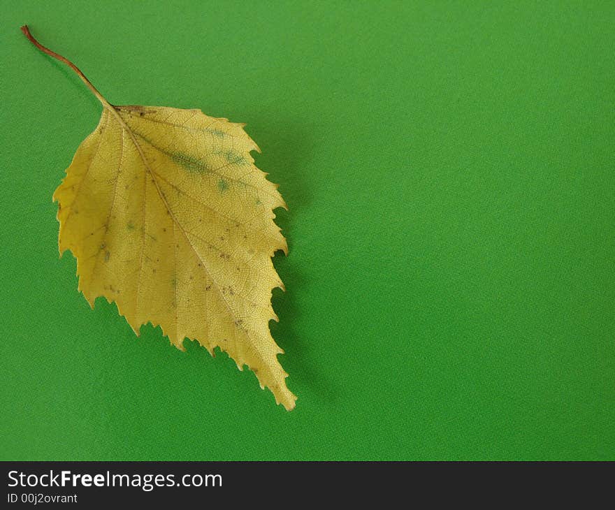 Lonely yellow leaf on the green background. Lonely yellow leaf on the green background