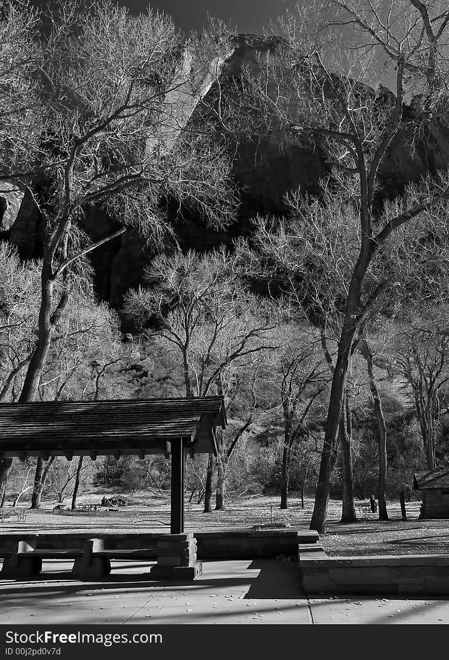 The Zion National Park in Utah USA, in black and white