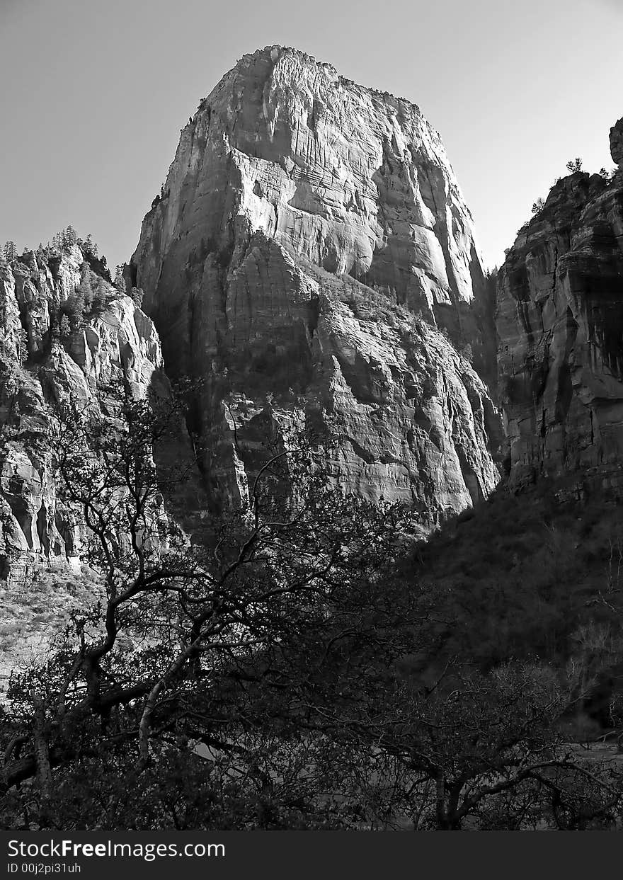 The Zion National Park in Utah USA, in black and white