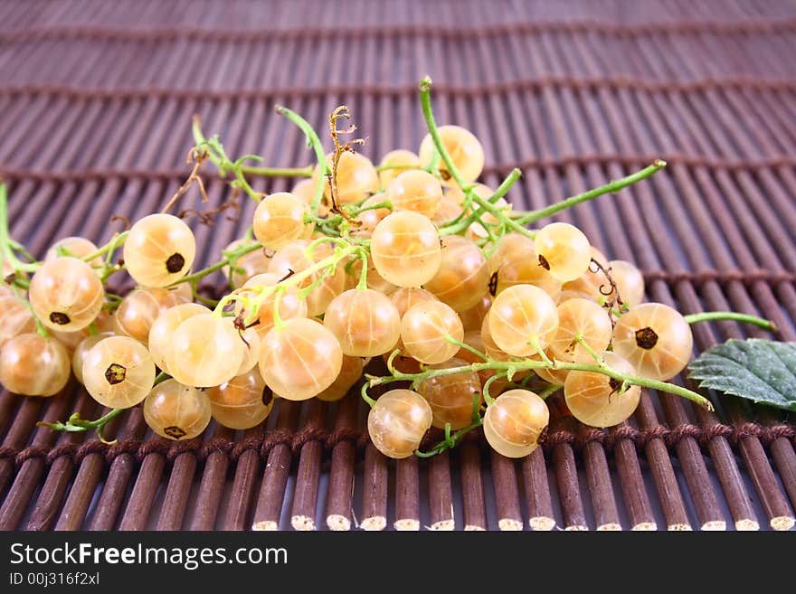 White currant on white background