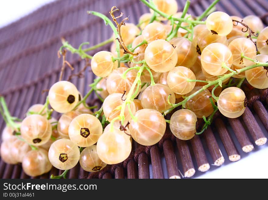 White currant on white background