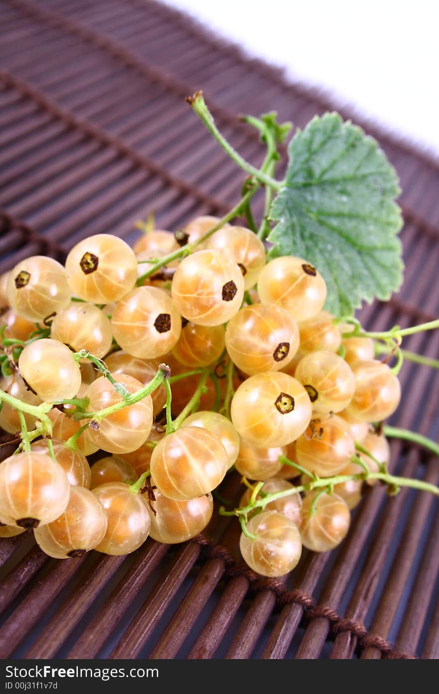 white currant on white background