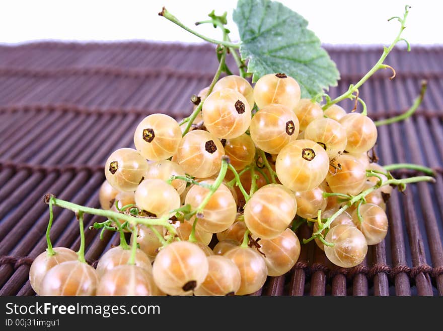 white currant on white background