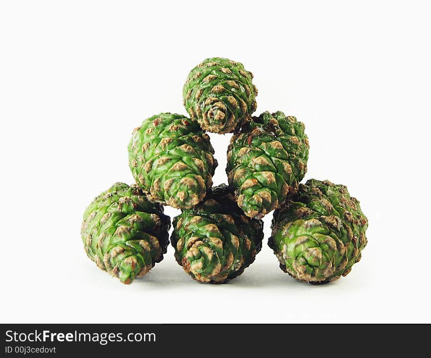 Nature, forest: six green pine cones on wite background