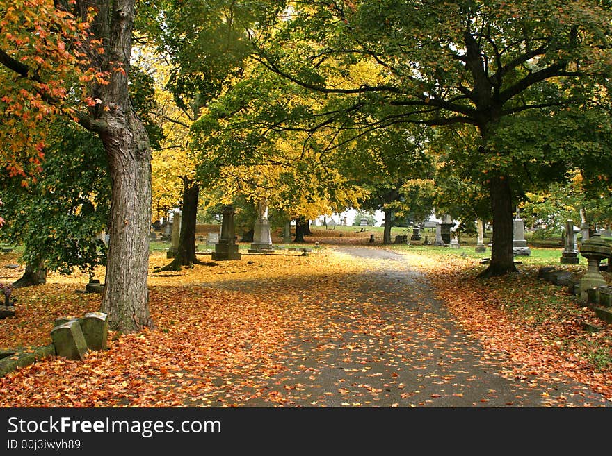 Fall leaves , quiet streets its fall in Nashville