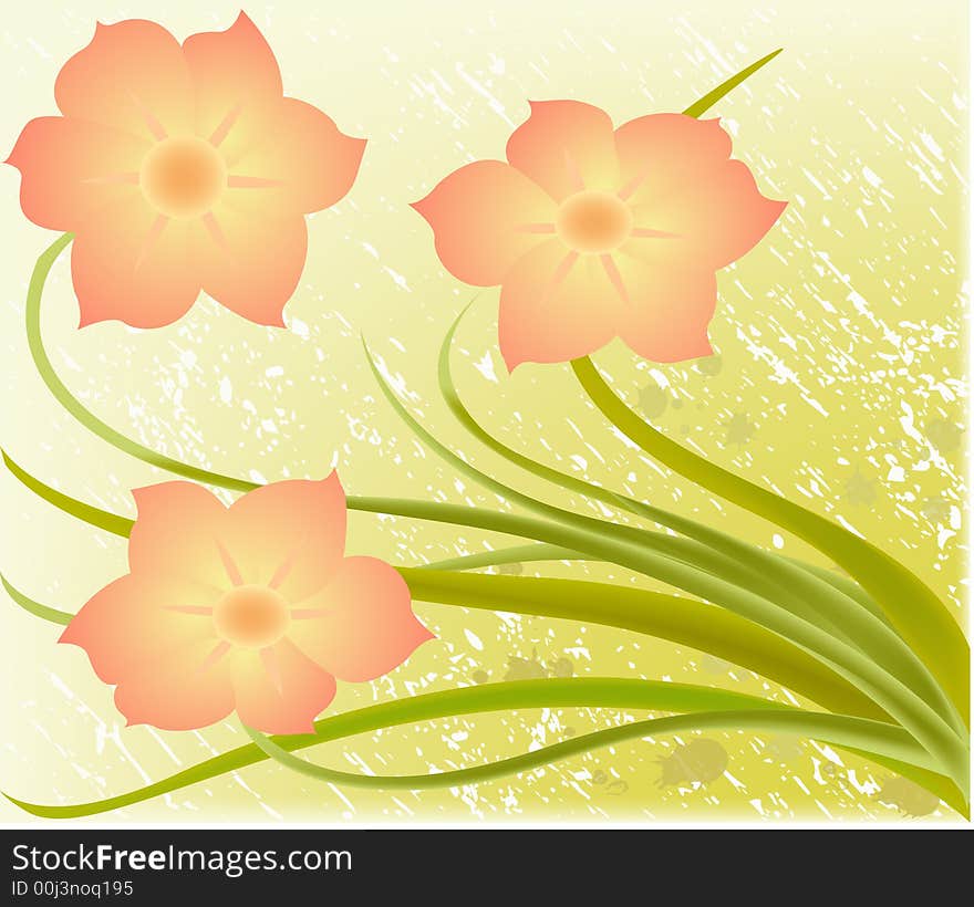 Vector grunge floral background