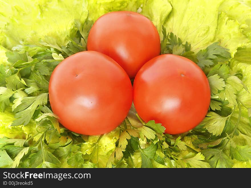 Red tomatoes on greenery