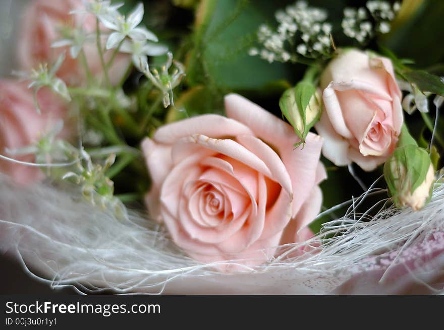 Bride's bunch of pink roses. Bride's bunch of pink roses