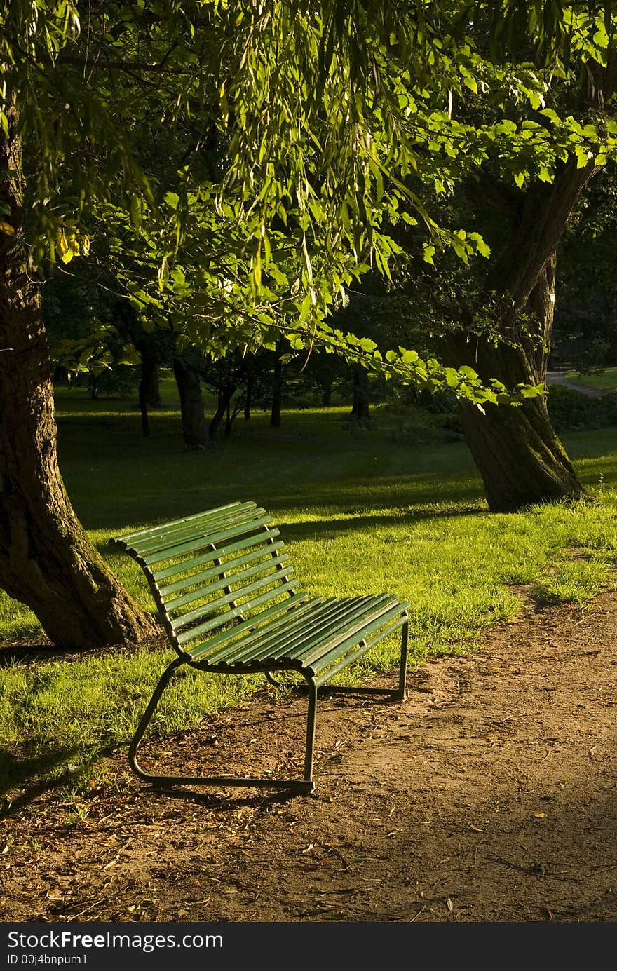 Bench In Sunset By Path