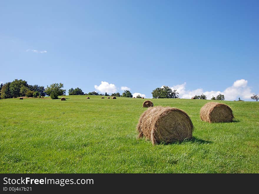 Landscape of the green field after harvest