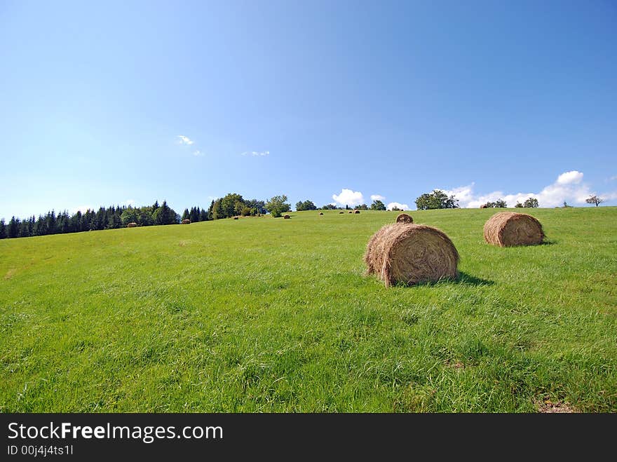 Landscape of the green field after harvest