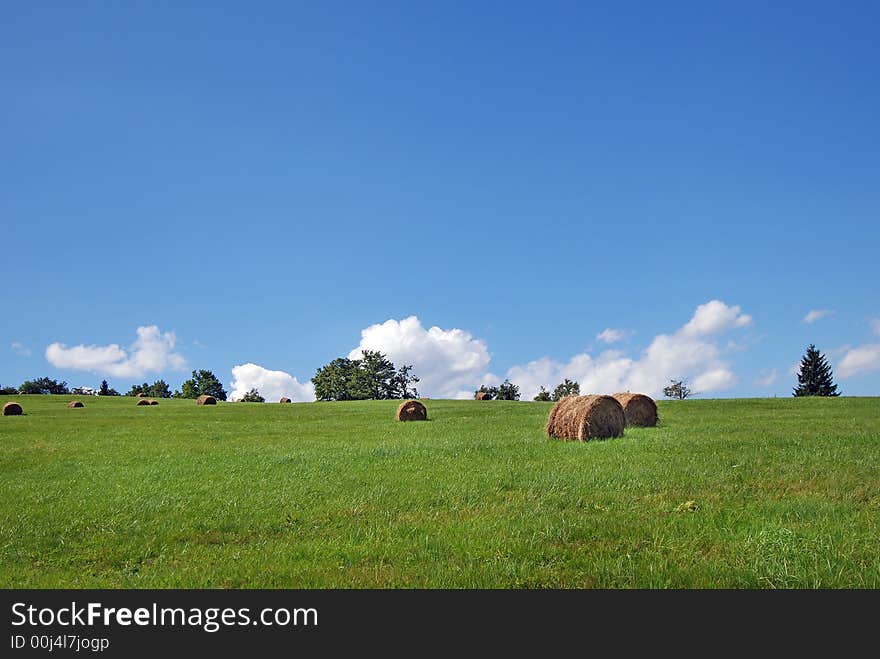 Landscape of the green field after harvest