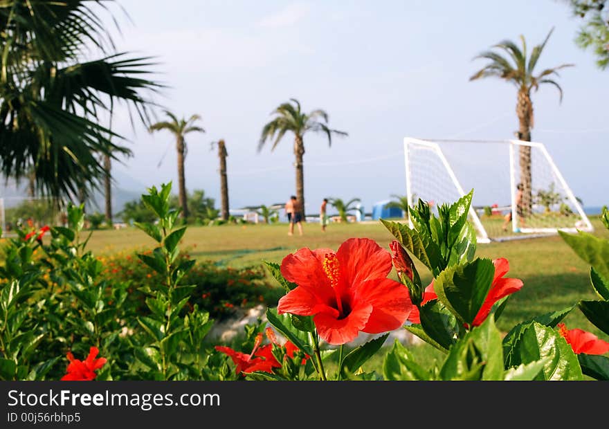 Colorful photo of football field