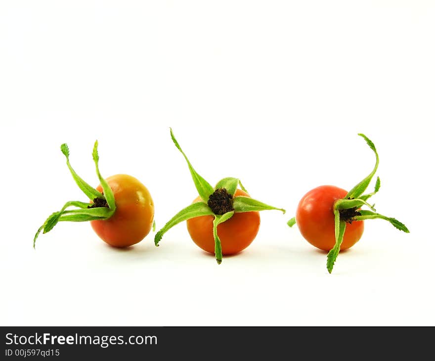 Nature, composition: three orange fruits wild roses on white background