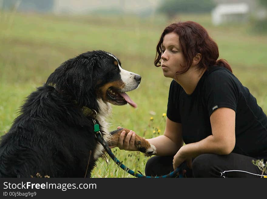 A young pretty woman is playing with dog. A young pretty woman is playing with dog