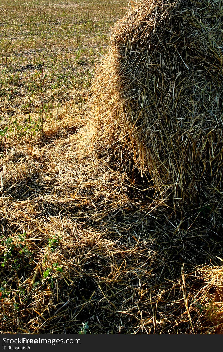 Broken hay bale on the field