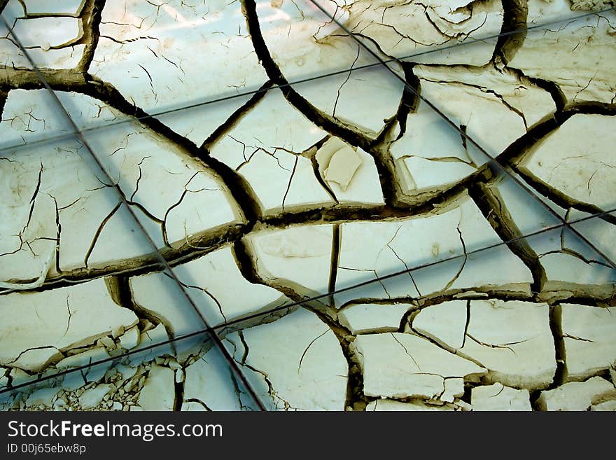 Floor mosaic and dried background. Floor mosaic and dried background