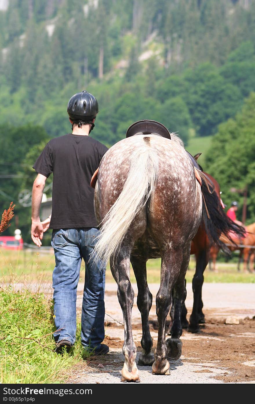 Man with horse