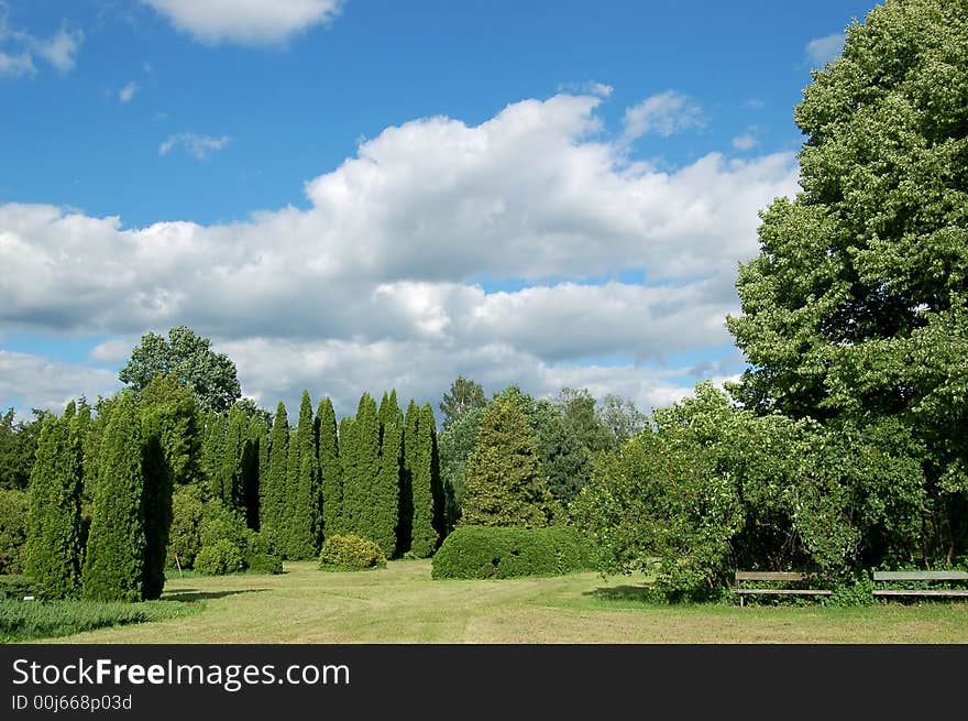 Picturesque landscape (trees, bushes, grass, the cloudy sky)