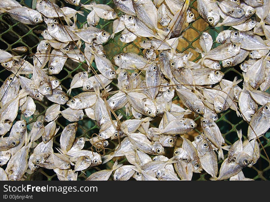 Dried Fish