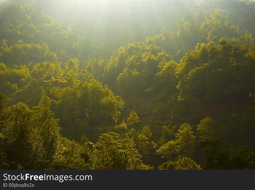 Trees in Sagada against setting sun, Philippines