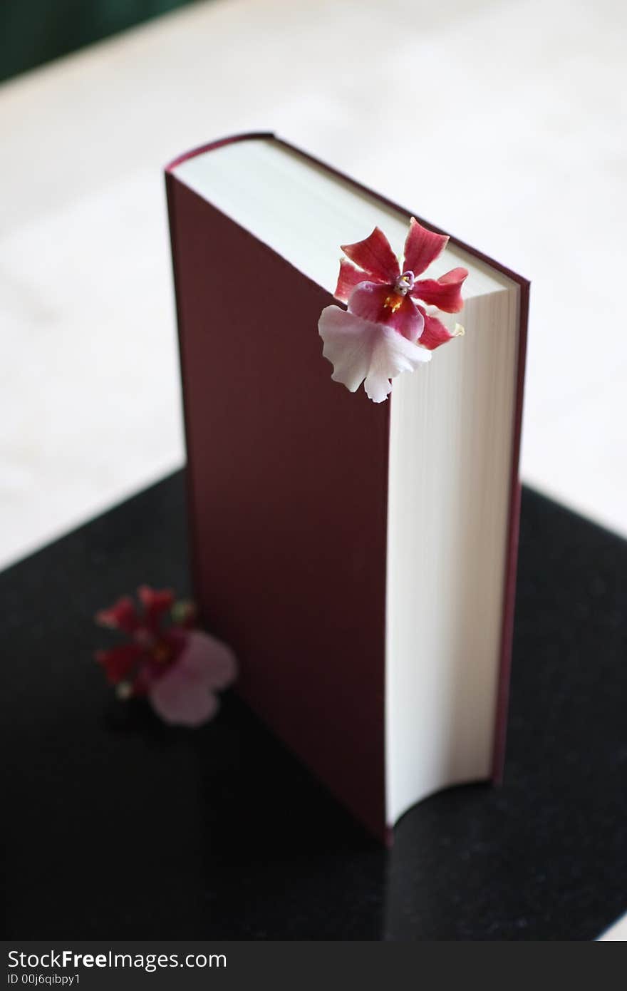 Book With Flower