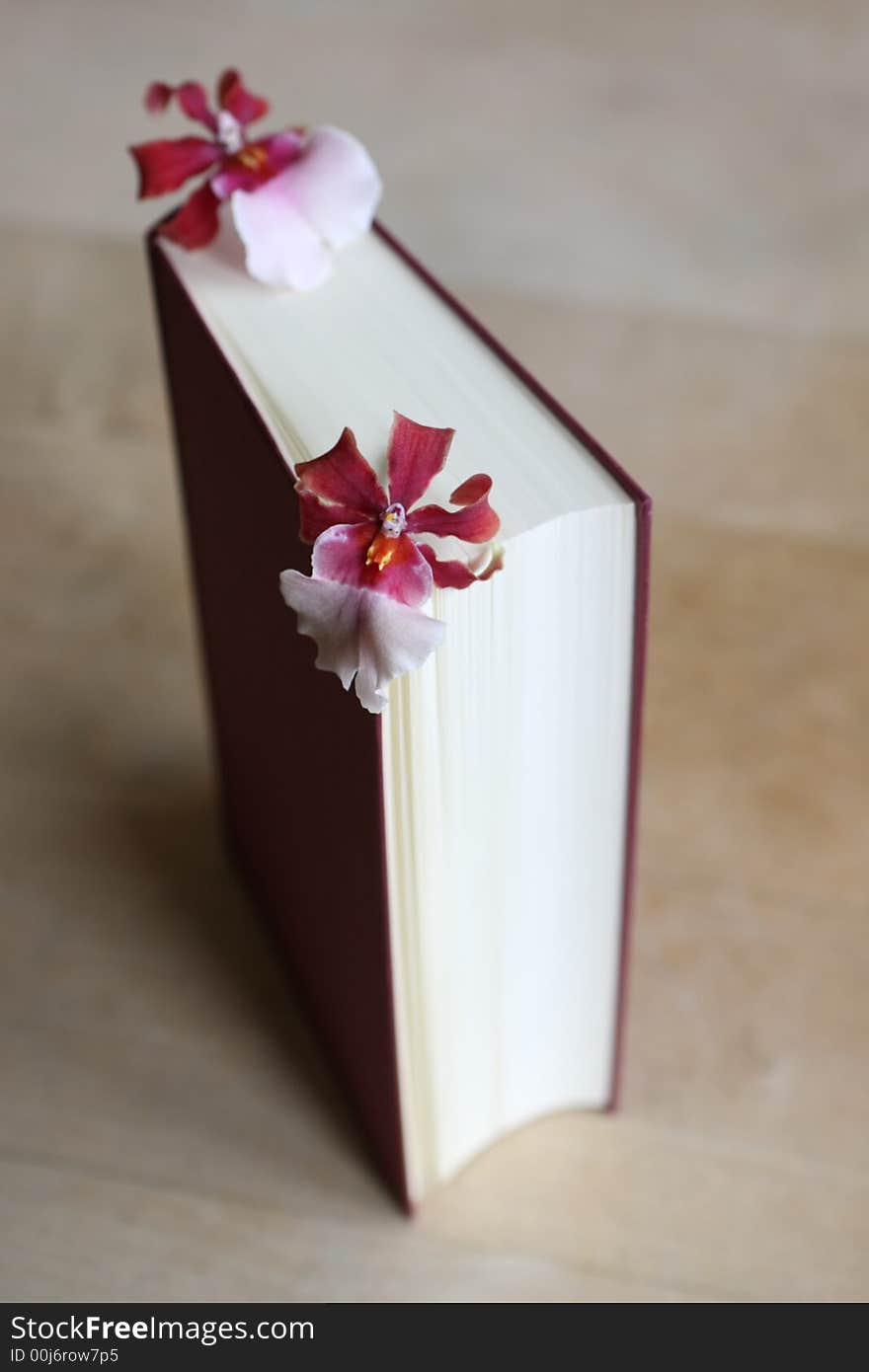 Book with flower