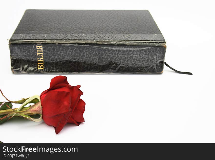 On a photo a rose and Holy Bible