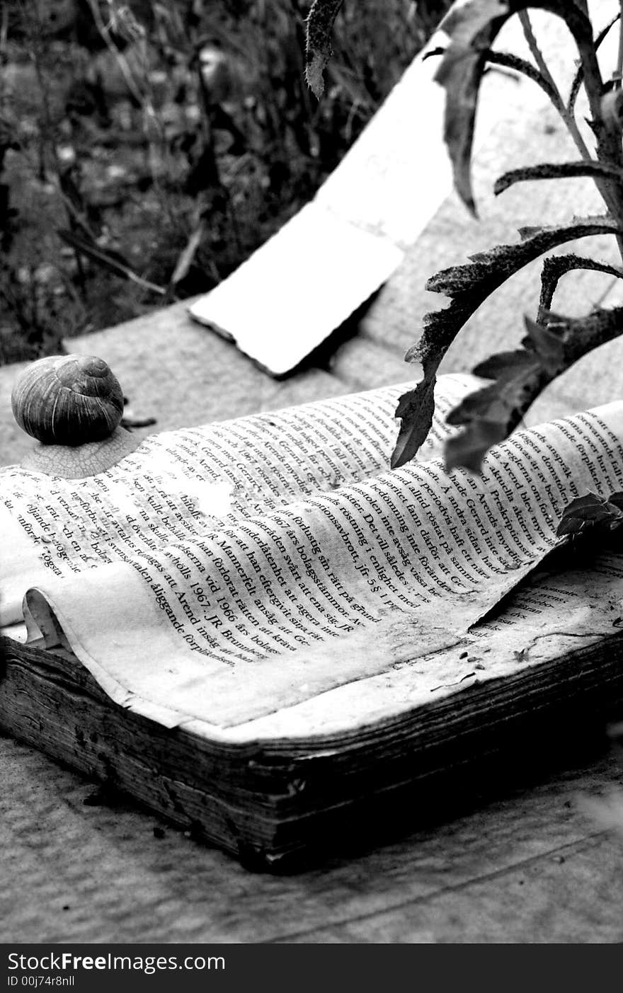 A book lying on the ground with a snail on. A book lying on the ground with a snail on