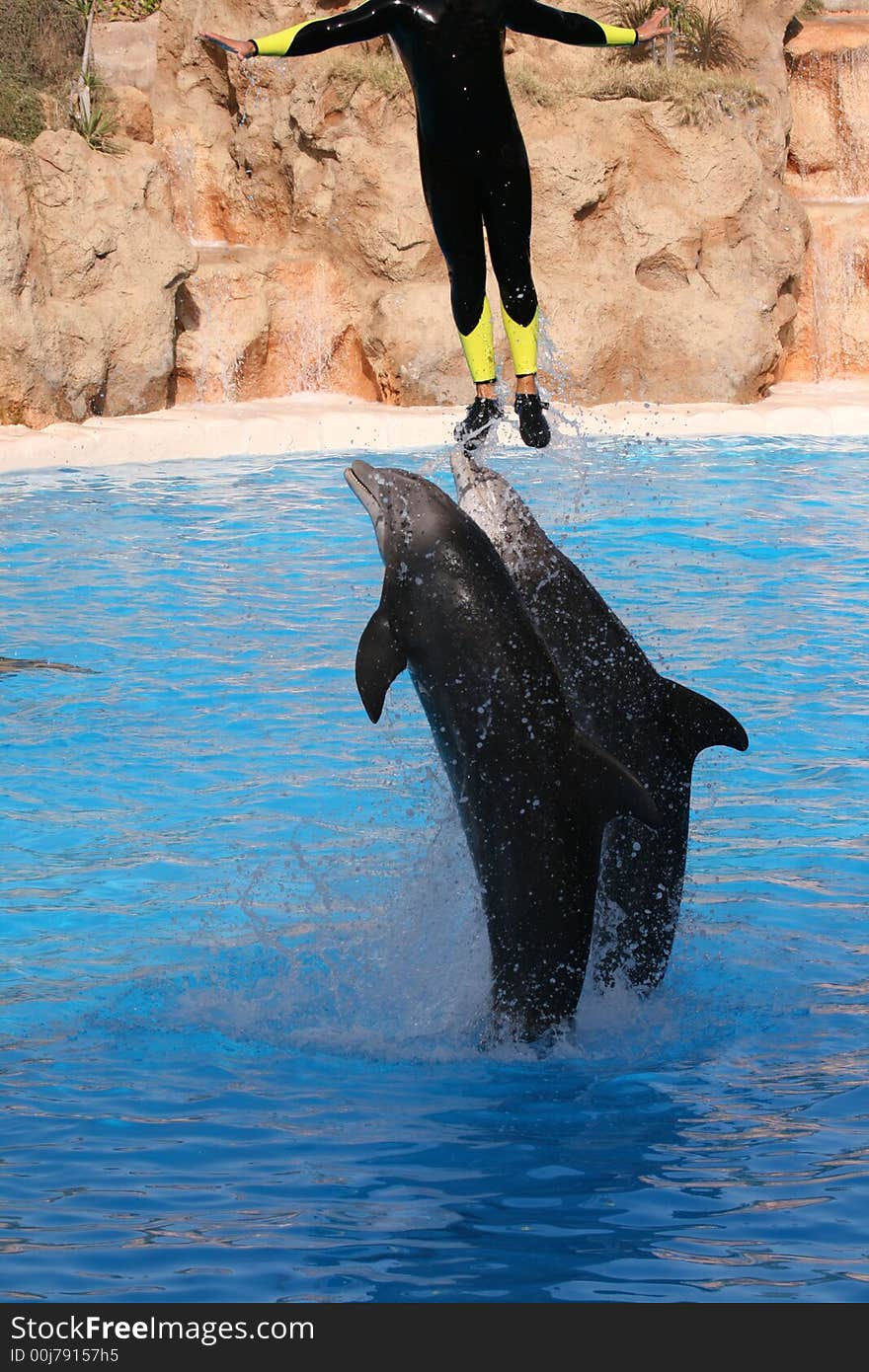 Man jumping with dolphins