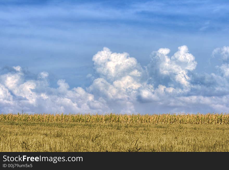 Dramatic big white cloud in a cloudy sky and agricultural green field below. Dramatic big white cloud in a cloudy sky and agricultural green field below