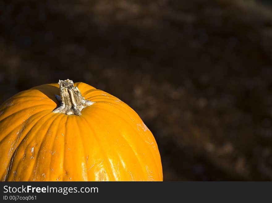 Pumpkin on fall brown background