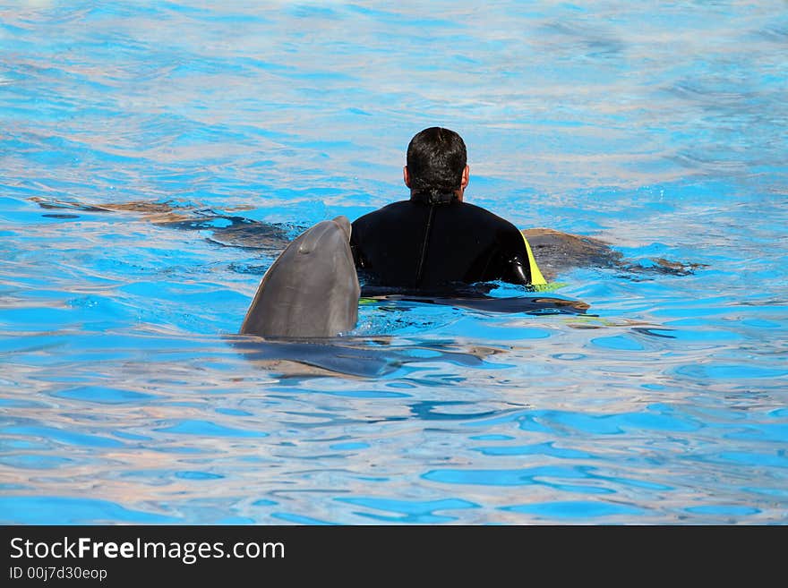 Dolphin behind a man